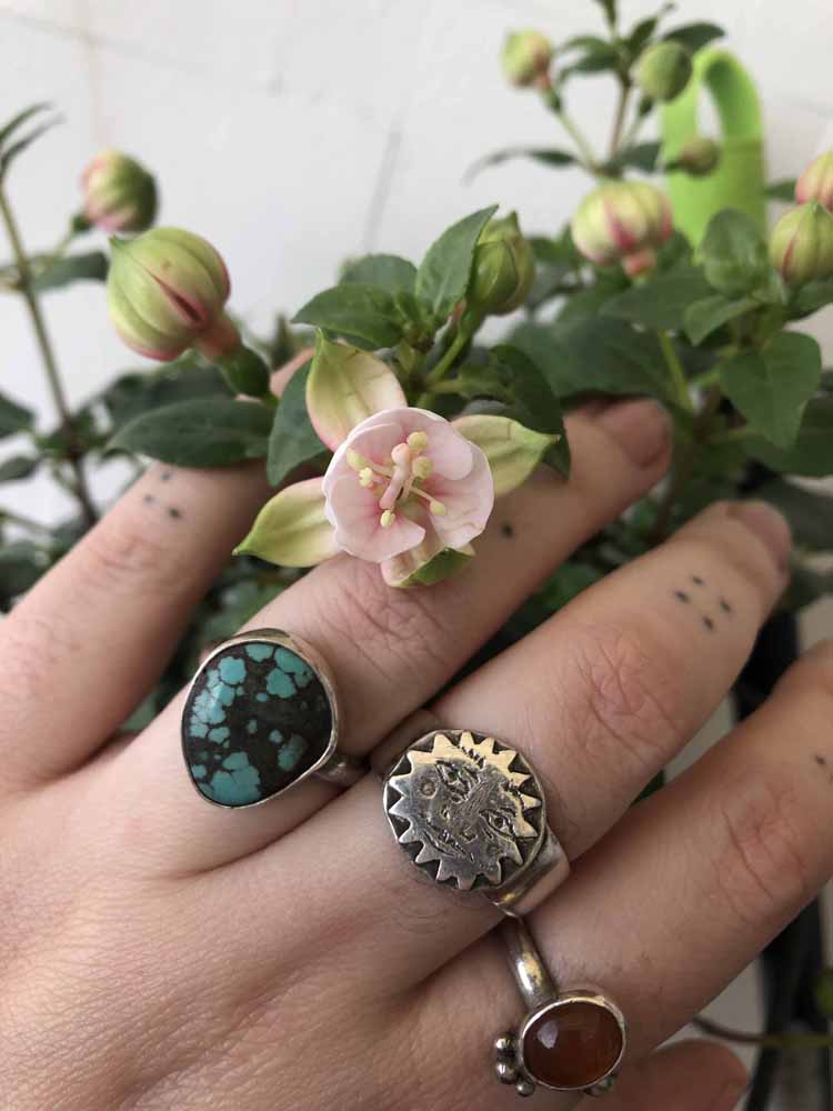 Anillo Charca